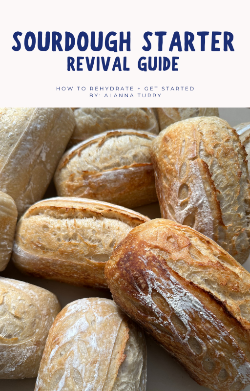 sourdough starter